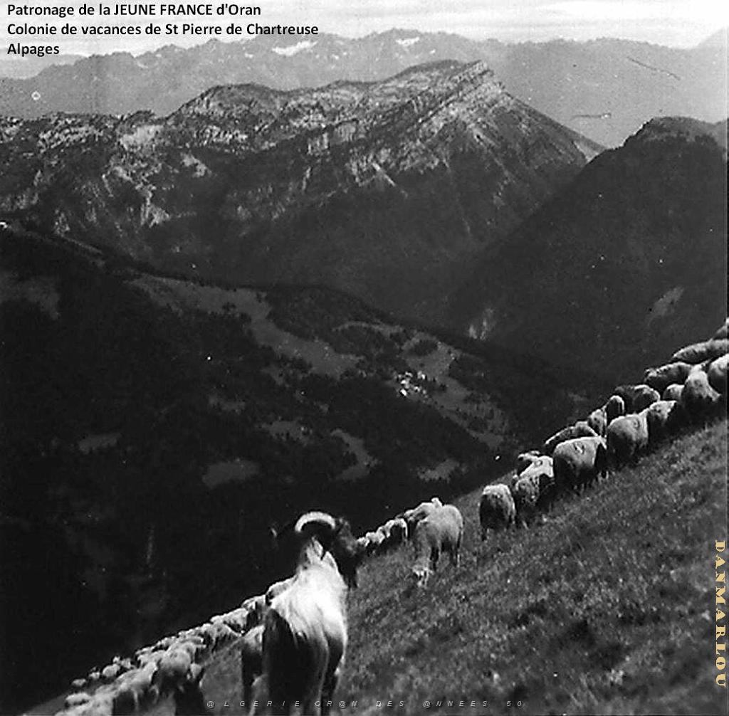 COLO JEUNE FRANCE Alpages.jpg